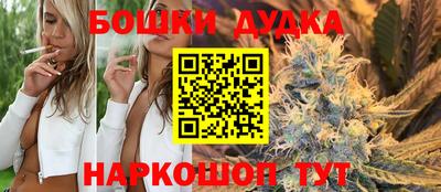 крисы Заводоуковск