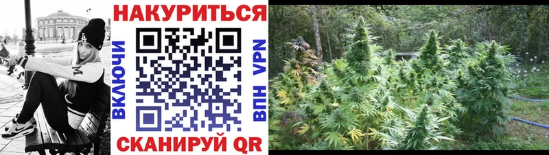 где продают   Новодвинск  Шишки марихуана сатива 